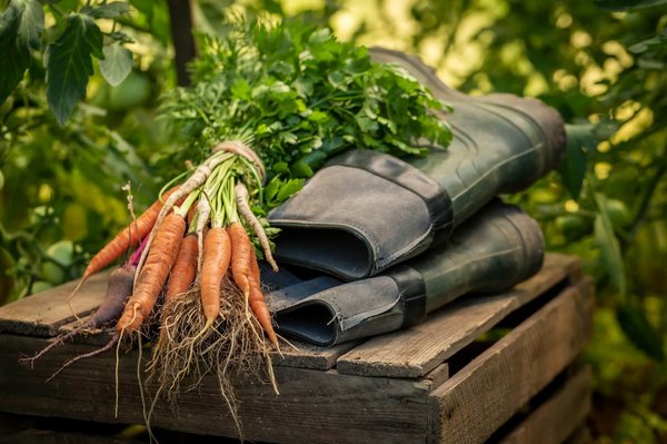 How important is it to have your own kitchen garden ?